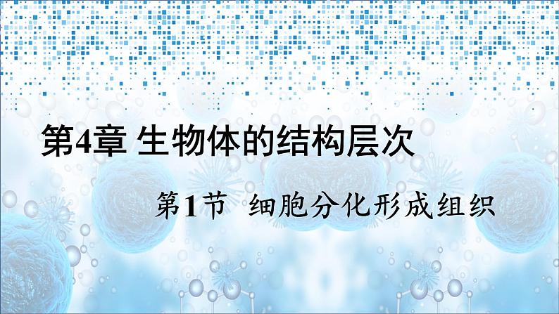 北师大版七年级生物上册课件 4.1 细胞分化形成组织01