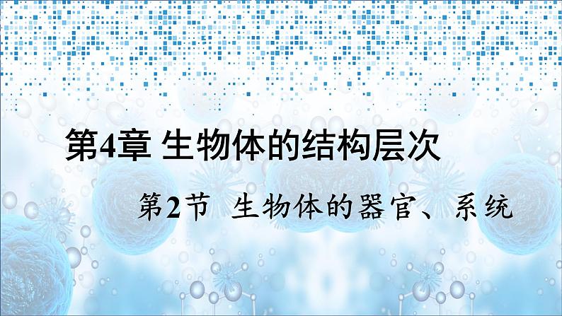 北师大版七年级生物上册课件 4.2 生物体的器官、系统第1页