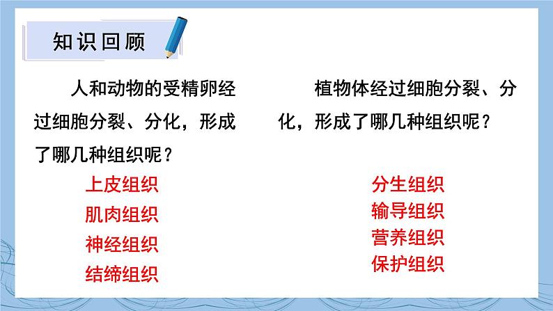 北师大版七年级生物上册课件 4.2 生物体的器官、系统第2页