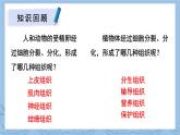 北师大版七年级生物上册课件 4.2 生物体的器官、系统