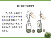 北师大版七年级生物上册课件 5.2 呼吸作用