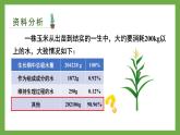 北师大版七年级生物上册课件 5.4 蒸腾作用