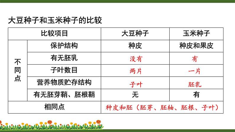 第1节 种子萌发形成幼苗第8页