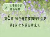 北师大版七年级生物上册课件 6.2 营养器官的生长