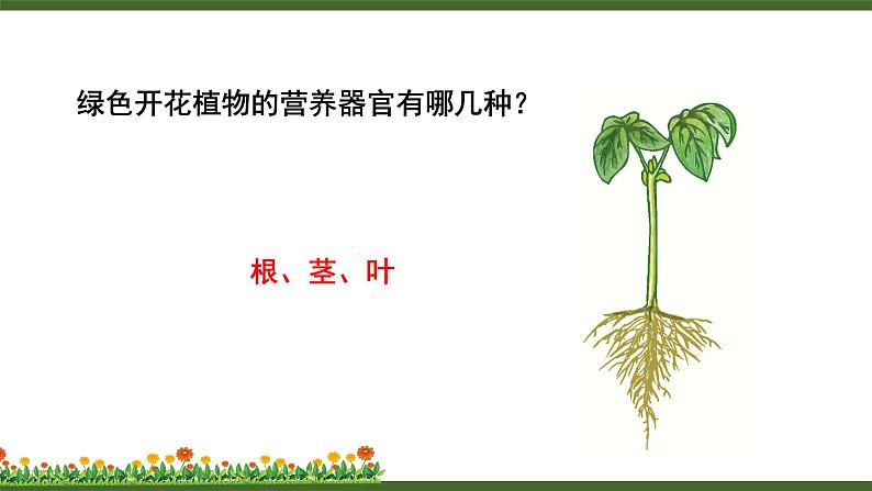 第2节 营养器官的生长第2页