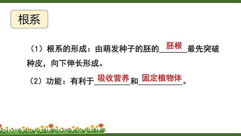 第2节 营养器官的生长第5页