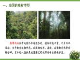 北师大版七年级生物上册课件 7.2 我国的植物资源