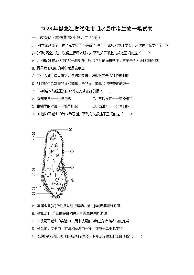 2023年黑龙江省绥化市明水县中考生物一模试卷（含解析）01