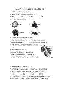 2023年天津市东丽区中考生物模拟试卷（含解析）