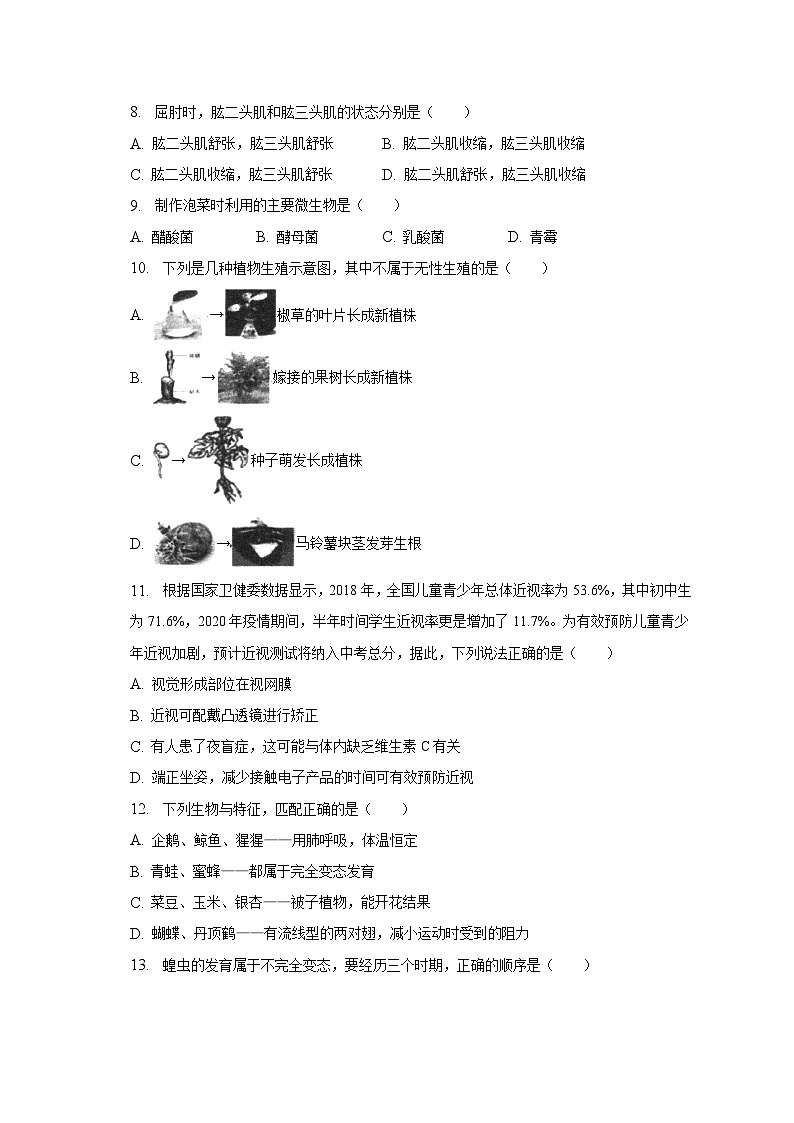 2023年天津市东丽区中考生物模拟试卷（含解析）第2页