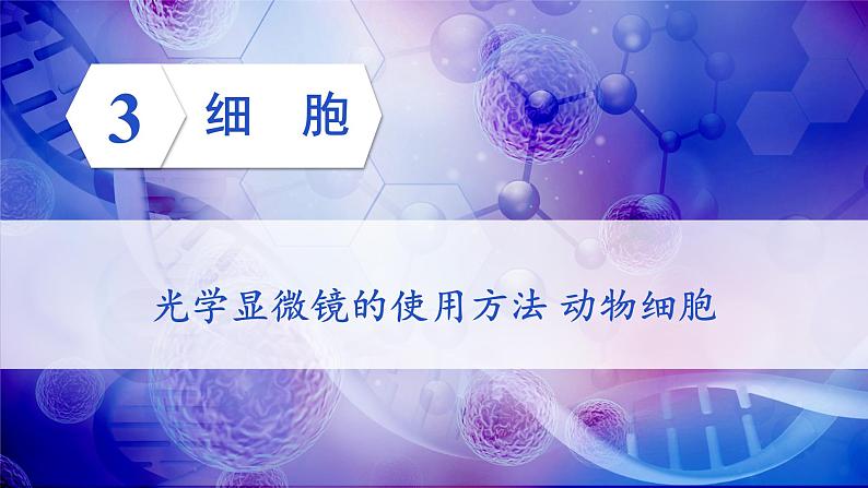 北师大版七年级生物上册课件 3.1 第1课时 光学显微镜的使用方法 动物细胞第1页
