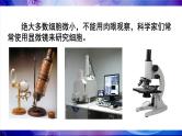 北师大版七年级生物上册课件 3.1 第1课时 光学显微镜的使用方法 动物细胞