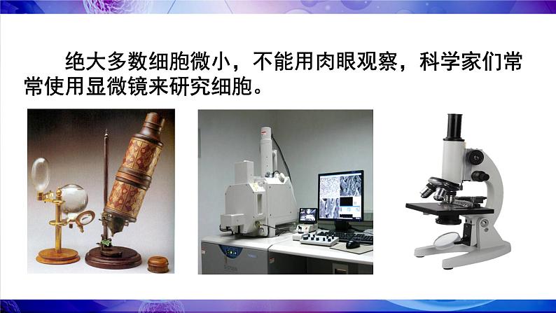 北师大版七年级生物上册课件 3.1 第1课时 光学显微镜的使用方法 动物细胞第3页