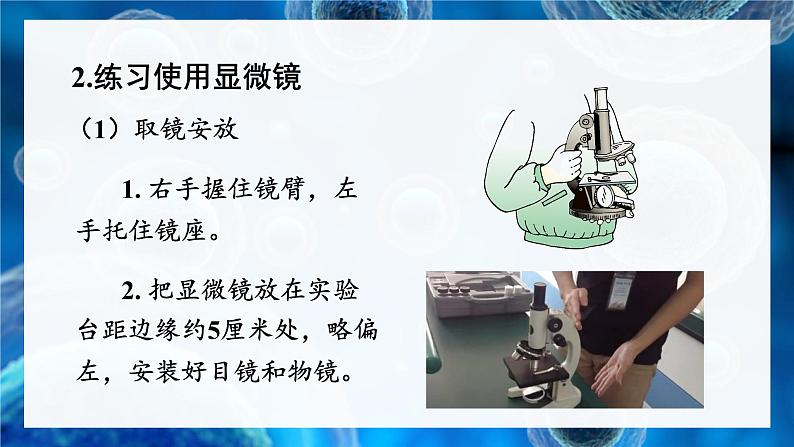 北师大版七年级生物上册课件 3.1 第1课时 光学显微镜的使用方法 动物细胞第7页
