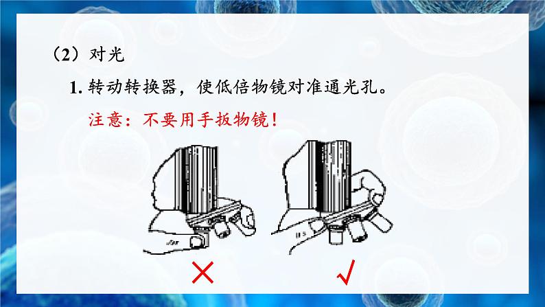 北师大版七年级生物上册课件 3.1 第1课时 光学显微镜的使用方法 动物细胞第8页