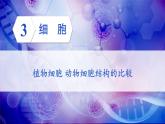 北师大版七年级生物上册课件 3.1 第2课时 植物细胞 动物细胞结构的比较