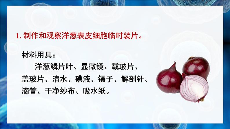 北师大版七年级生物上册课件 3.1 第2课时 植物细胞 动物细胞结构的比较第5页