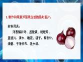 北师大版七年级生物上册课件 3.1 第2课时 植物细胞 动物细胞结构的比较