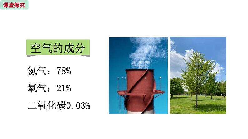 7.2  绿色植物与生物圈的物质循环第5页