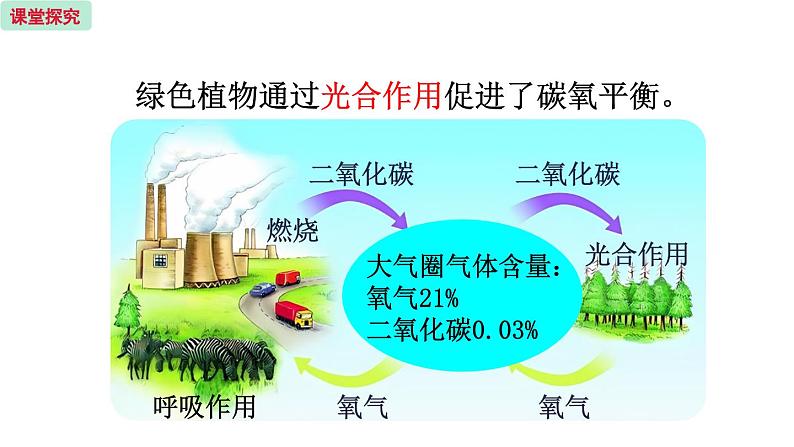 7.2  绿色植物与生物圈的物质循环第7页