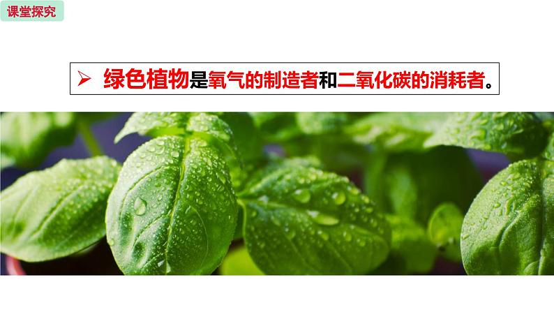 7.2  绿色植物与生物圈的物质循环第8页