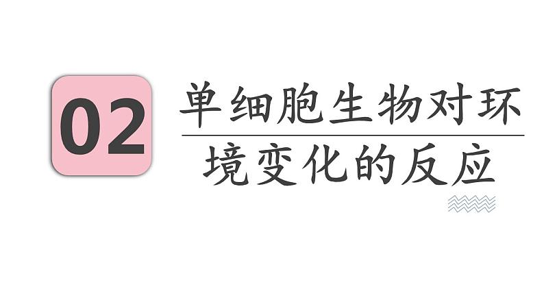 4.1 单细胞生物 （课件）苏教版生物七年级上册08