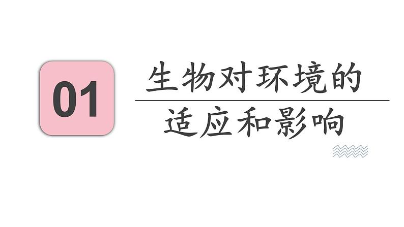 4.2 多细胞生物体的组成 （课件）苏教版生物七年级上册03