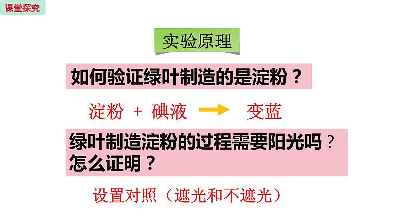 6.3 植物光合作用的实质 （课件）苏教版生物七年级上册第6页