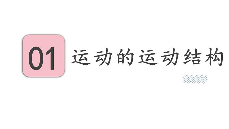 17.2 动物的运动依赖于一定的结构 （课件）苏教版生物八年级上册03