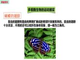 17.2 动物的运动依赖于一定的结构 （课件）苏教版生物八年级上册
