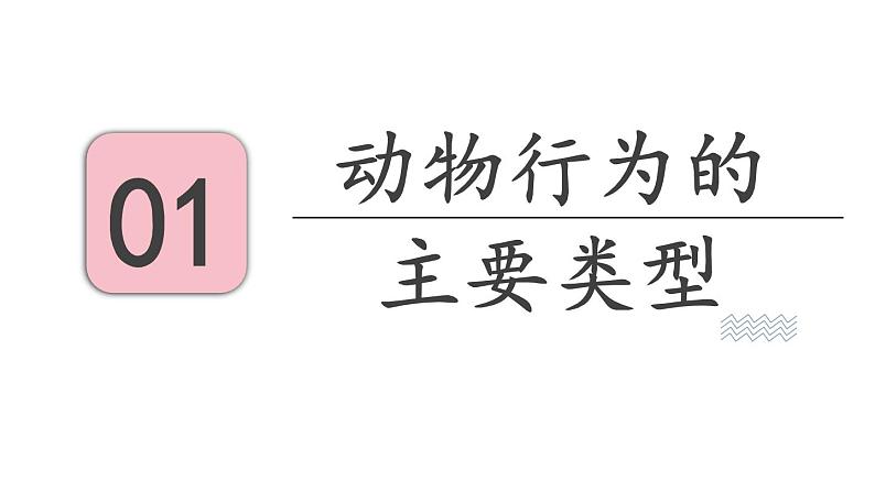 18.1 动物行为的主要类型 （课件）苏教版生物八年级上册03