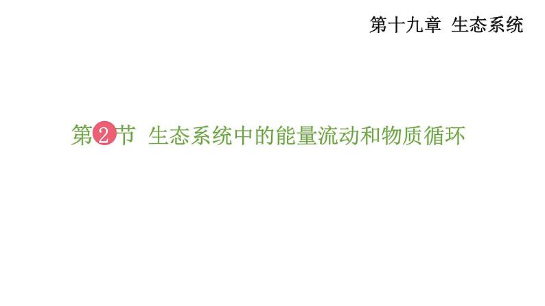 19.2 生态系统中的能量流动和物质循环 （课件）苏教版生物八年级上册01