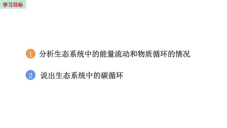 19.2 生态系统中的能量流动和物质循环 （课件）苏教版生物八年级上册02