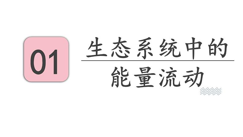 19.2 生态系统中的能量流动和物质循环 （课件）苏教版生物八年级上册03