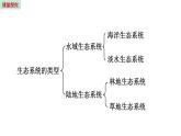 20.1 生物圈中的各种生态系统 （课件）苏教版生物八年级上册