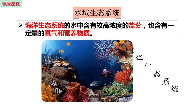 20.1 生物圈中的各种生态系统 （课件）苏教版生物八年级上册06