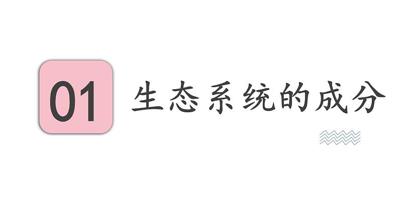 19.1 生态系统的组成 （课件）苏教版生物八年级上册03