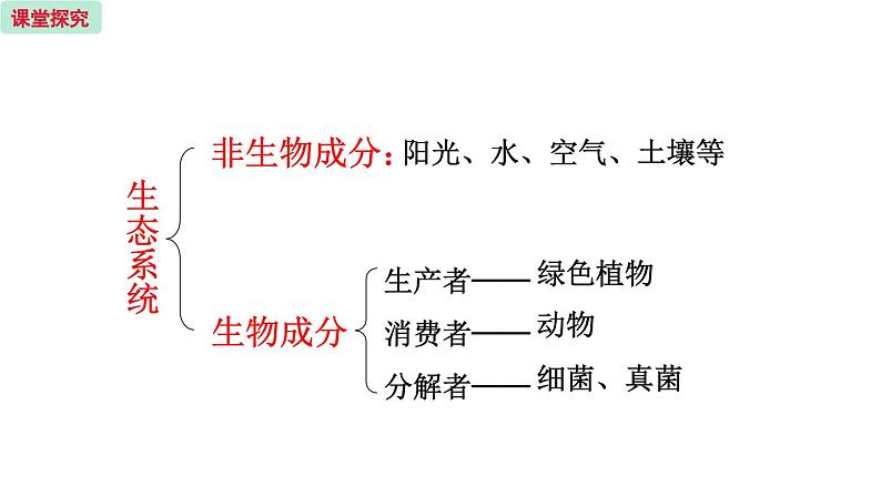 19.1 生态系统的组成 （课件）苏教版生物八年级上册08