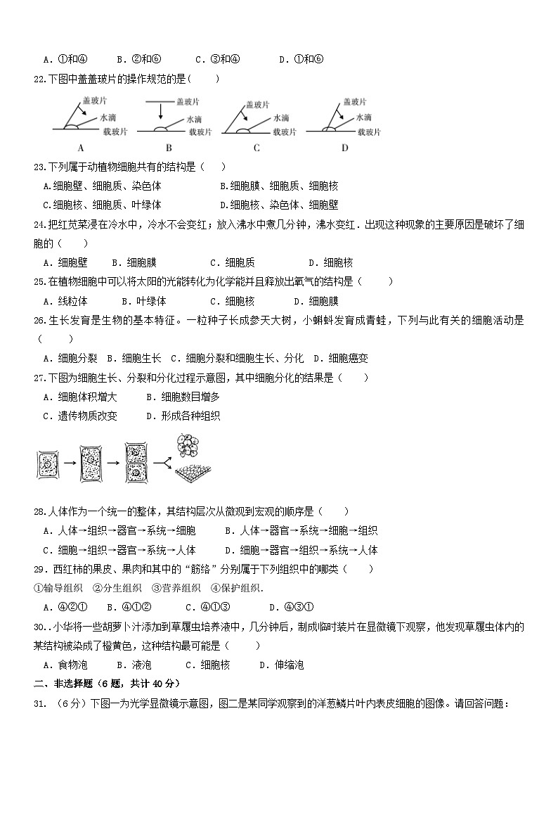2018北京市丰台区长辛店第一中学初一（上）期中生物含答案第3页