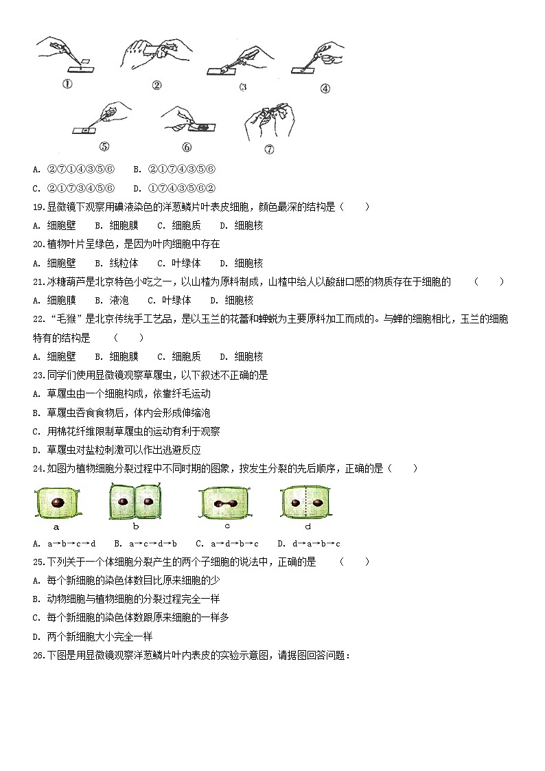 2018北京四中初一（上）期中生物含答案第3页