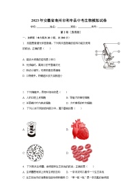 2023年安徽省亳州市利辛县中考生物模拟试卷（含解析）