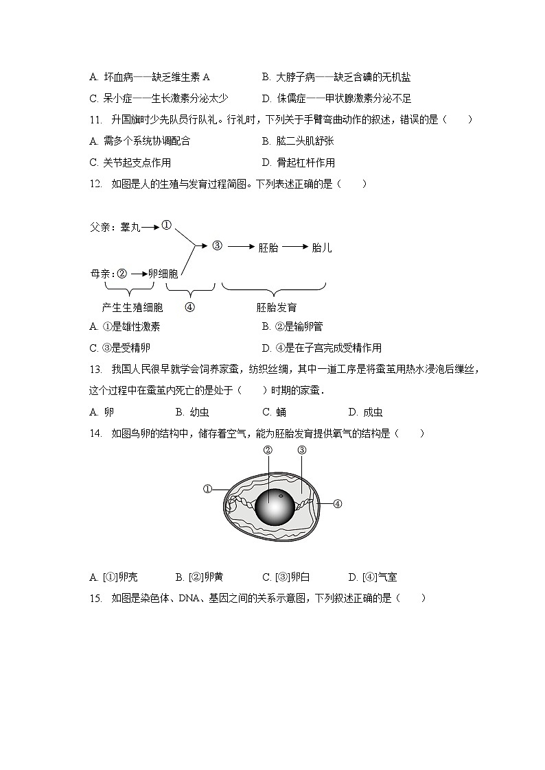 2023年福建省泉州市安溪县中考生物适应性试卷（含解析）第2页