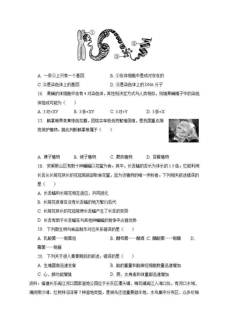 2023年福建省泉州市安溪县中考生物适应性试卷（含解析）第3页