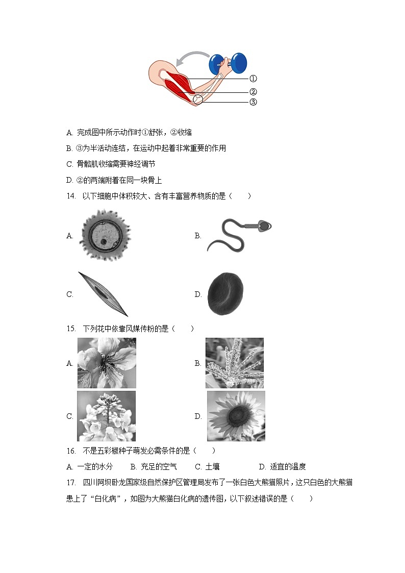2022-2023学年北京市燕山地区中考生物一模试卷（含解析）03