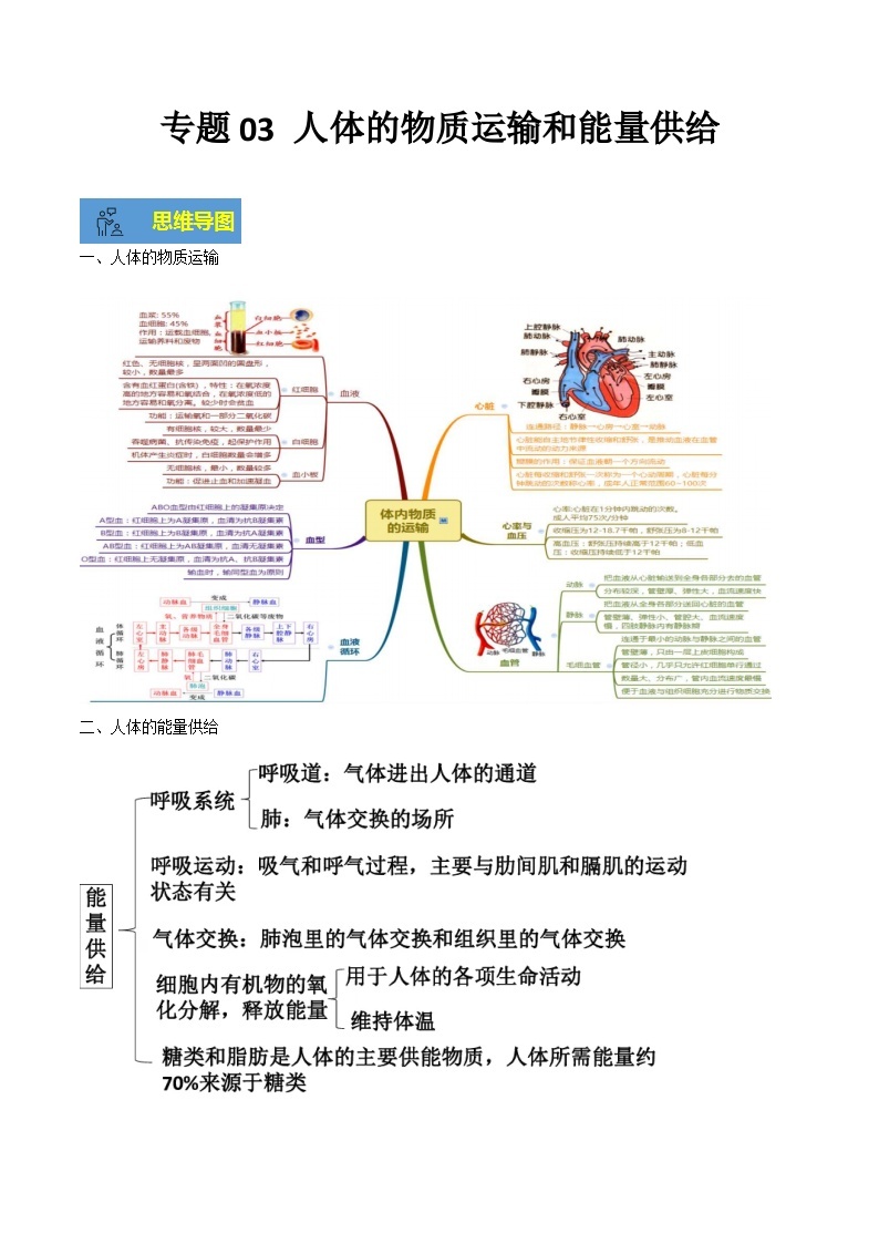 【期末总复习】2021-2022学年苏教版生物七年级下学期期末讲学案-专题03 人体的物质运输和能量供给（原卷版+解析版）01