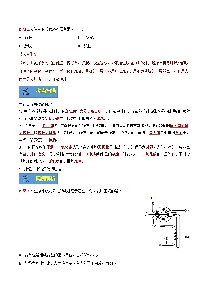 【期末总复习】2021-2022学年苏教版生物七年级下学期期末讲学案-专题04 人体内废物排入环境（原卷版+解析版）02