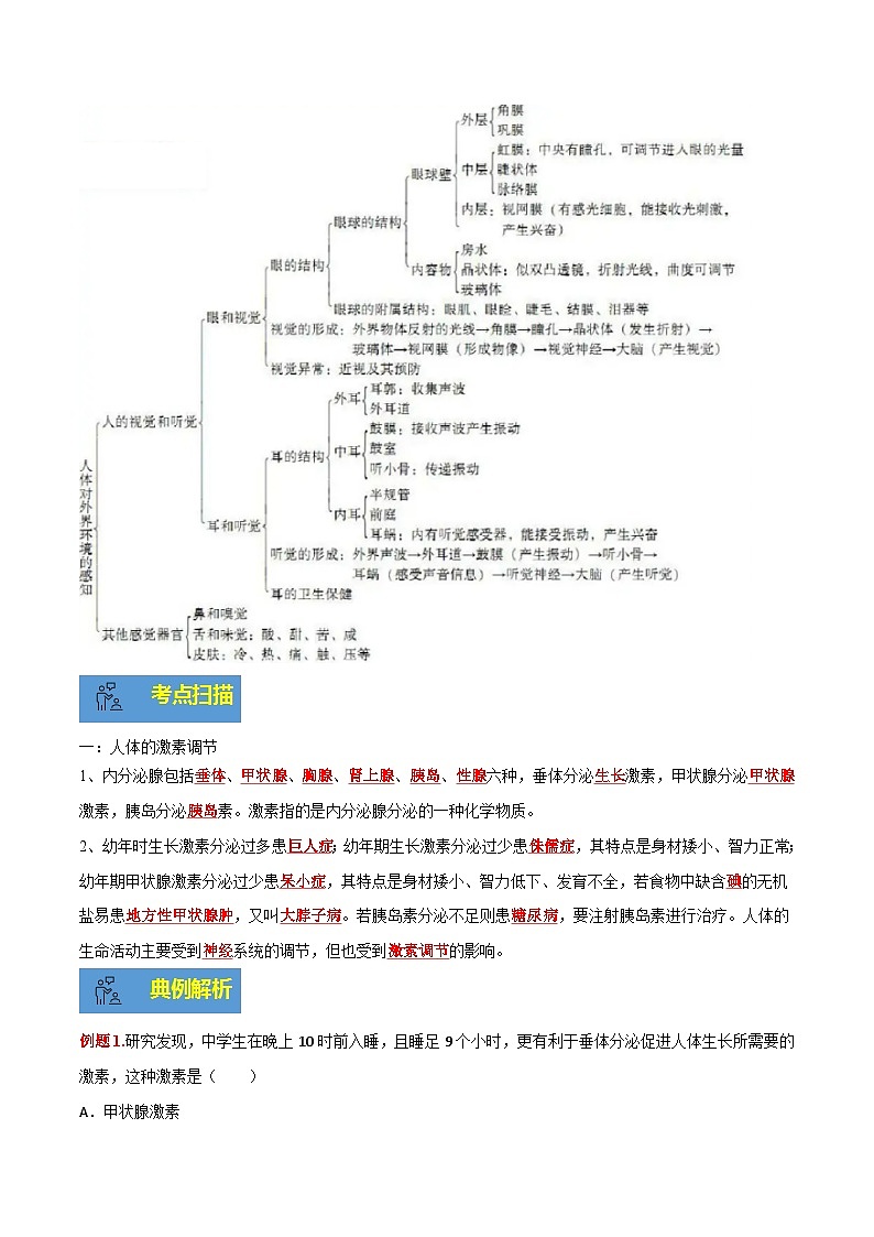 【期末总复习】2021-2022学年苏教版生物七年级下学期期末讲学案-专题05 人体生命活动的调节（原卷版+解析版）02
