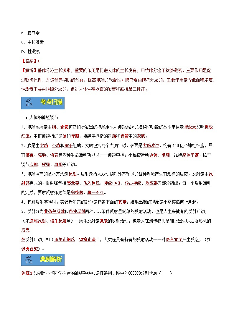 【期末总复习】2021-2022学年苏教版生物七年级下学期期末讲学案-专题05 人体生命活动的调节（原卷版+解析版）03