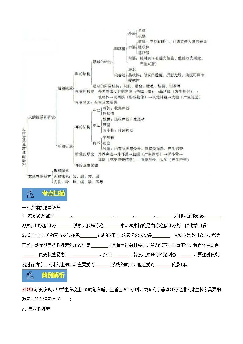 【期末总复习】2021-2022学年苏教版生物七年级下学期期末讲学案-专题05 人体生命活动的调节（原卷版+解析版）02