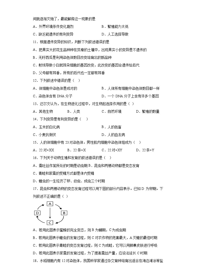 卷01-2022-2023学年人教版八年级生物下学期期末综合测试卷（原卷版+解析版）02
